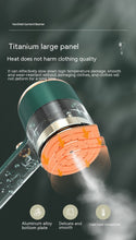 Handheld Garment Steamer